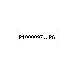 P1000097.JPG